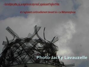 Photo Jacky Lavauzelle La maison dansante toit